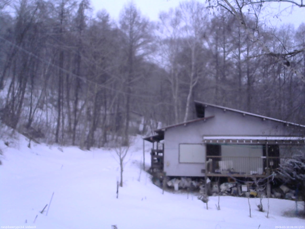 長野県菅平高原 ゆたか山荘 西側(坂上) 2026/03/10 06:00