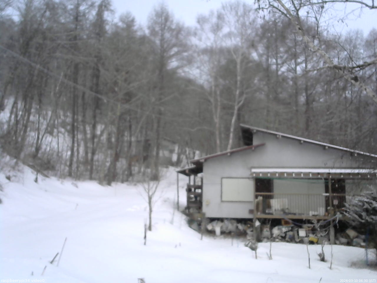 長野県菅平高原 ゆたか山荘 西側(坂上) 2026/03/10 06:30