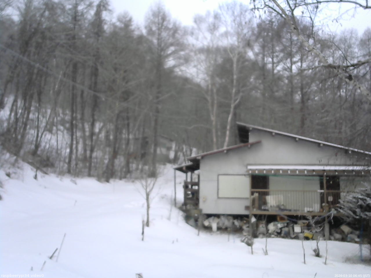 長野県菅平高原 ゆたか山荘 西側(坂上) 2026/03/10 06:45