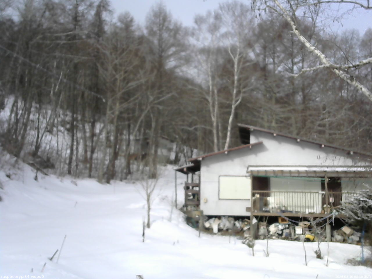 長野県菅平高原 ゆたか山荘 西側(坂上) 2026/03/10 08:30