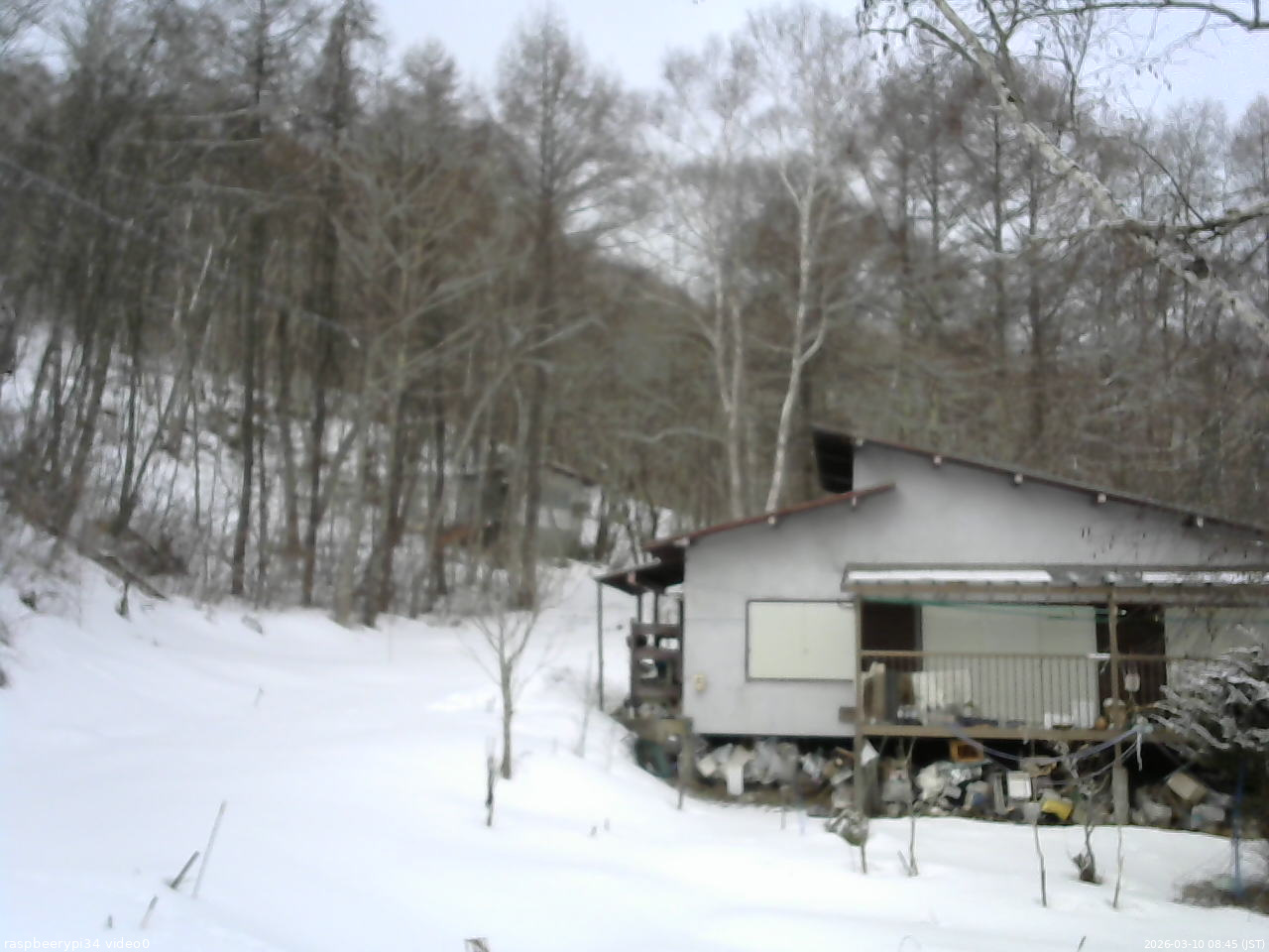 長野県菅平高原 ゆたか山荘 西側(坂上) 2026/03/10 08:45