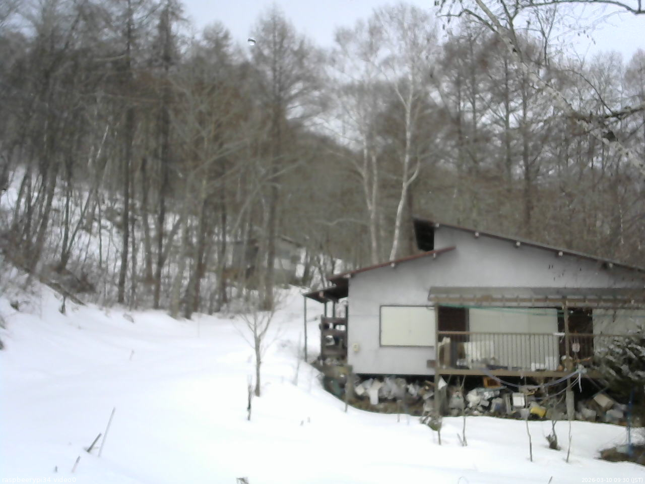 長野県菅平高原 ゆたか山荘 西側(坂上) 2026/03/10 09:30