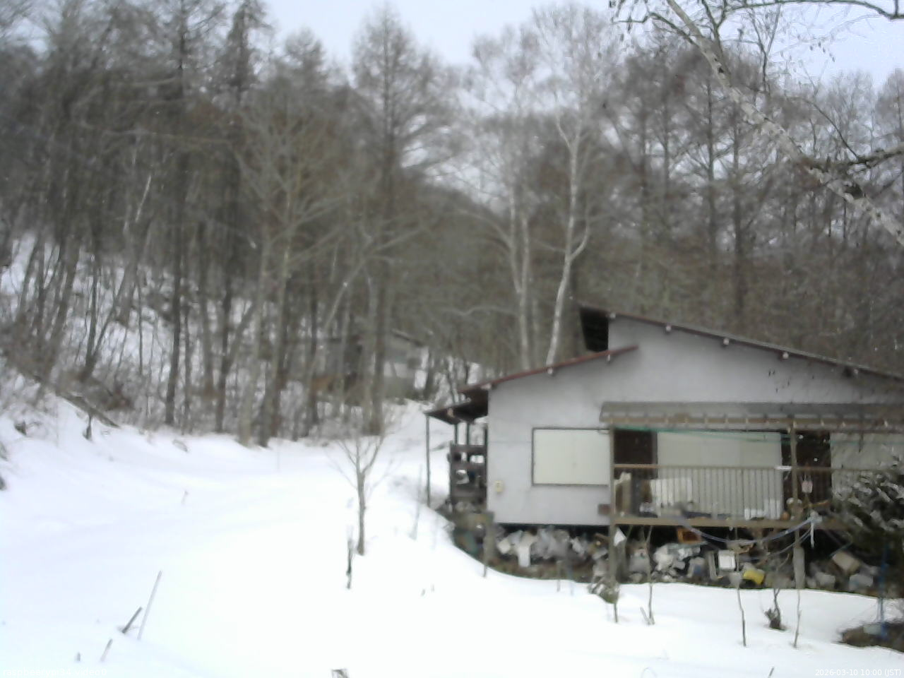 長野県菅平高原 ゆたか山荘 西側(坂上) 2026/03/10 10:00