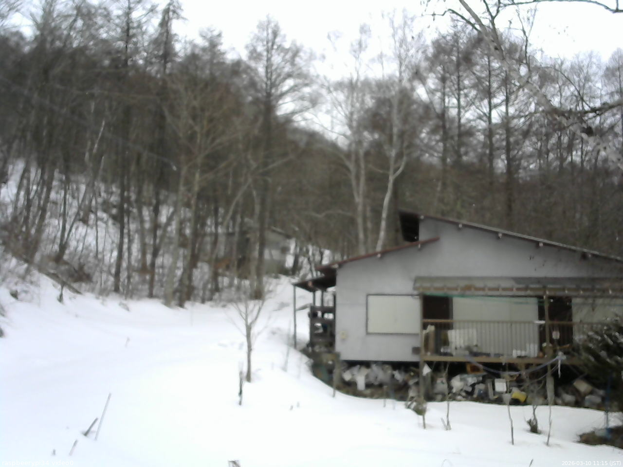 長野県菅平高原 ゆたか山荘 西側(坂上) 2026/03/10 11:15