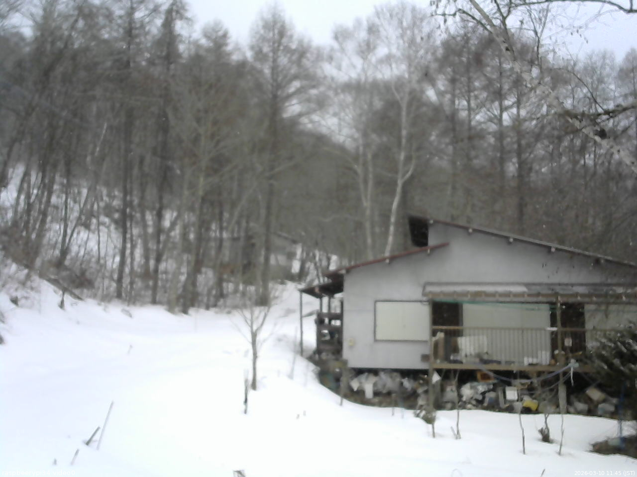 長野県菅平高原 ゆたか山荘 西側(坂上) 2026/03/10 11:45