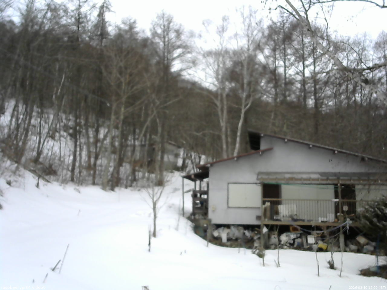 長野県菅平高原 ゆたか山荘 西側(坂上) 2026/03/10 12:00