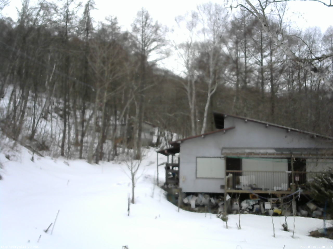 長野県菅平高原 ゆたか山荘 西側(坂上) 2026/03/10 12:30