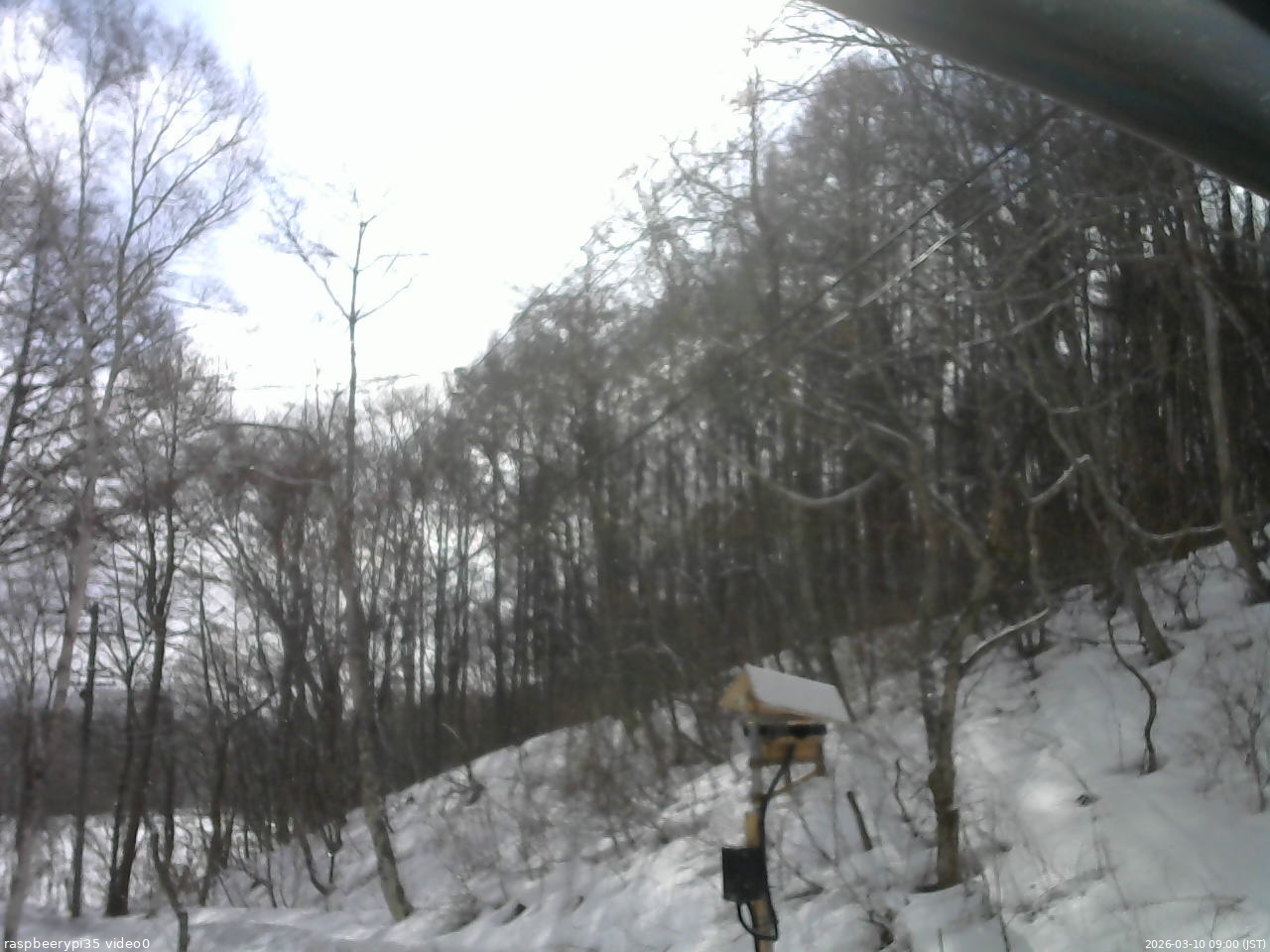 長野県菅平高原 ゆたか山荘 温度計 2026/03/10 09:00