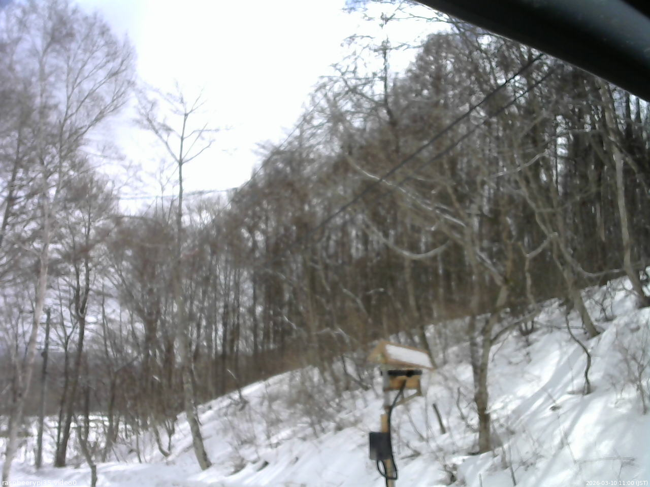 長野県菅平高原 ゆたか山荘 温度計 2026/03/10 11:00