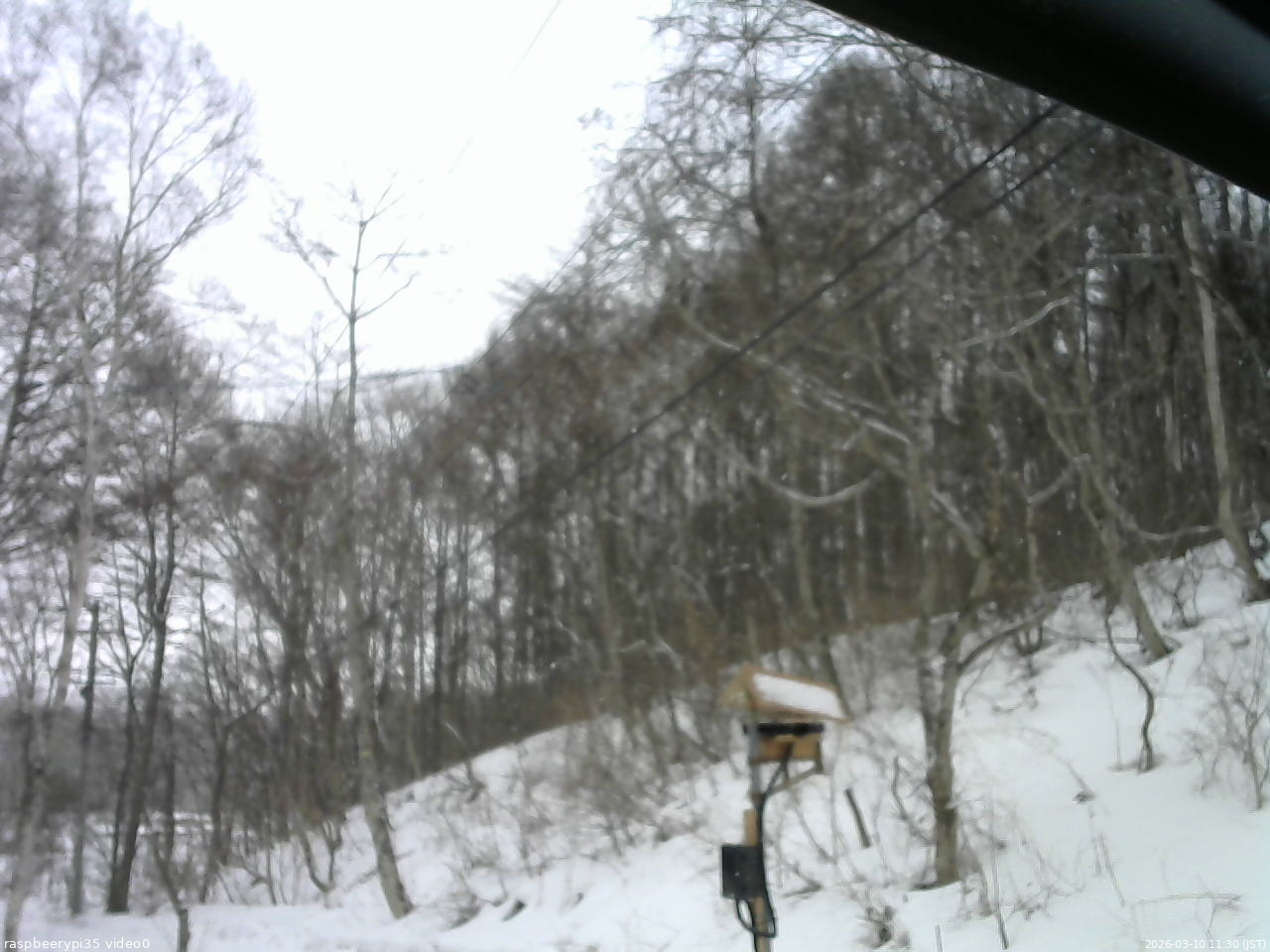 長野県菅平高原 ゆたか山荘 温度計 2026/03/10 11:30