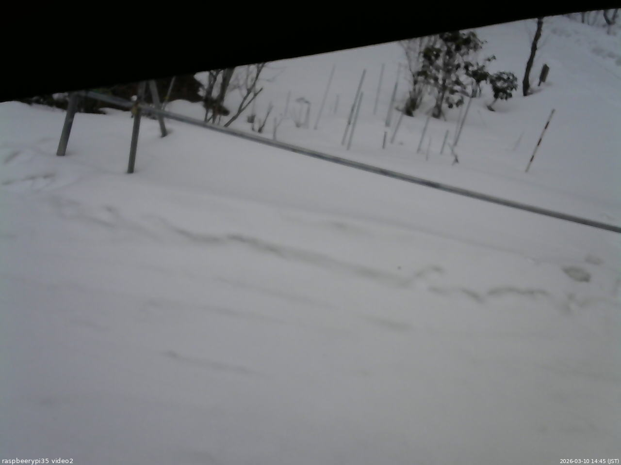 長野県菅平高原 ゆたか山荘 駐車場 2026/03/10 14:45