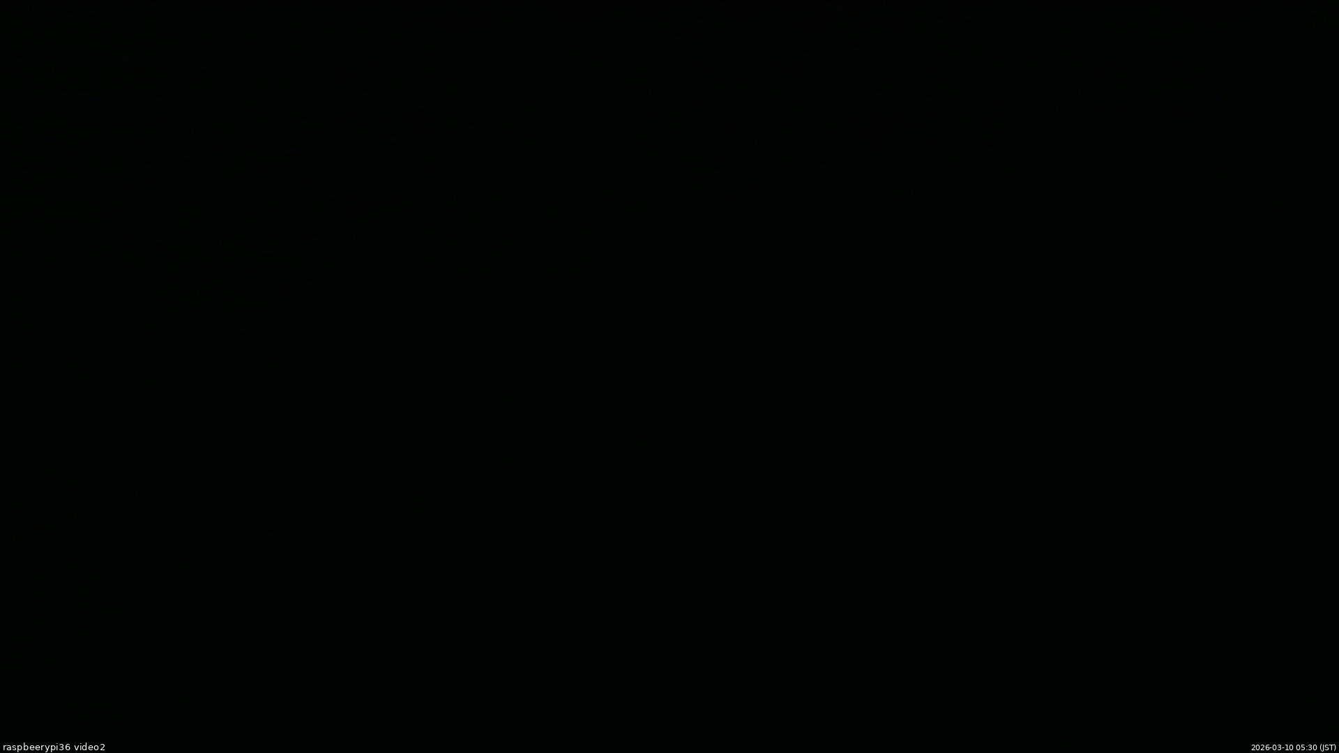 長野県菅平高原 ゆたか山荘 駐車場奥 2026/03/10 05:30