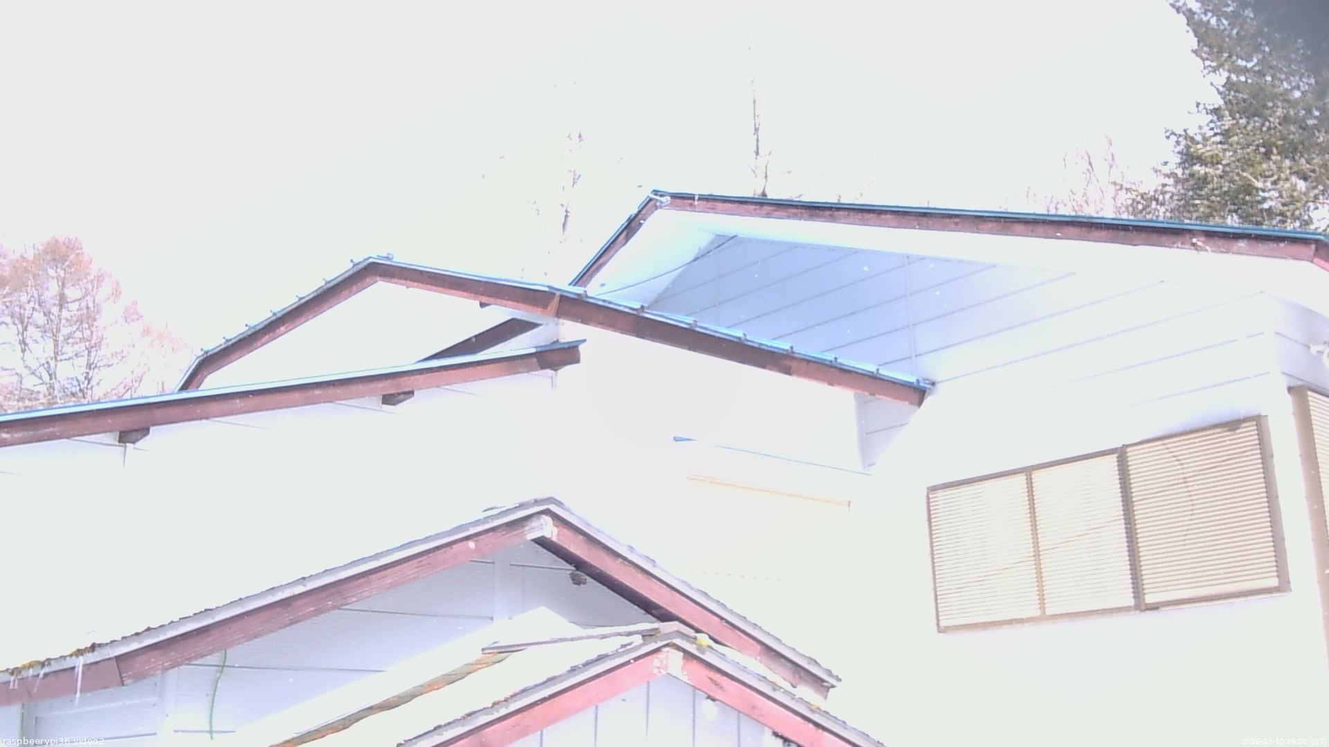 長野県菅平高原 ゆたか山荘 駐車場奥 2026/03/10 09:00