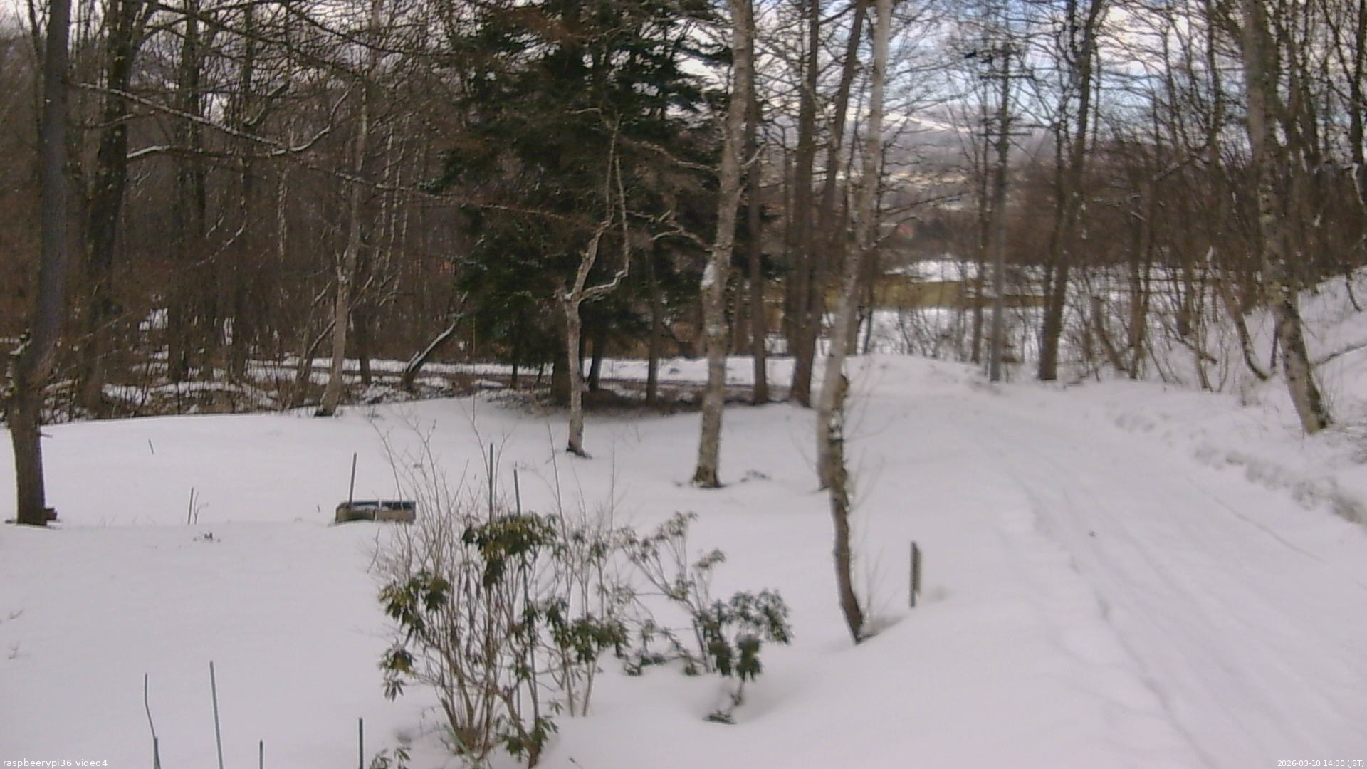 長野県菅平高原 ゆたか山荘 坂上 2026/03/10 14:30