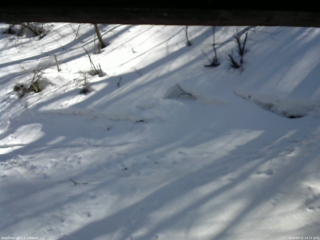 長野県菅平高原 ゆたか山荘 東側(坂下) 2026/03/11 14:15