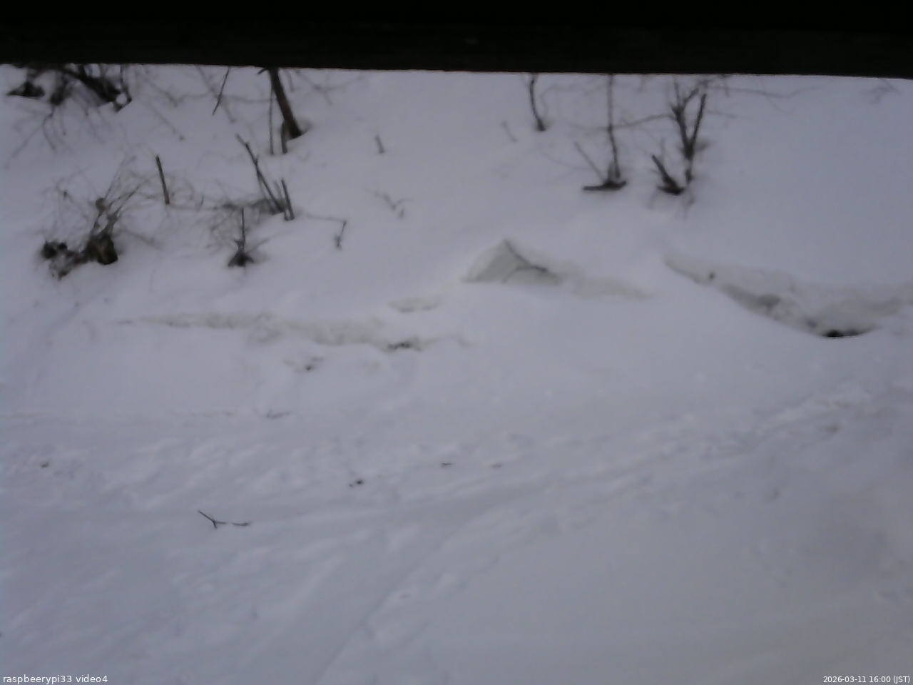 長野県菅平高原 ゆたか山荘 東側(坂下) 2026/03/11 16:00