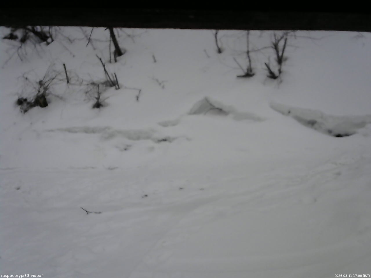 長野県菅平高原 ゆたか山荘 東側(坂下) 2026/03/11 17:00