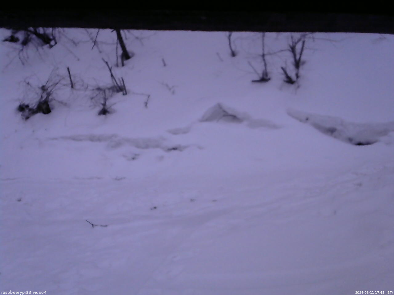 長野県菅平高原 ゆたか山荘 東側(坂下) 2026/03/11 17:45