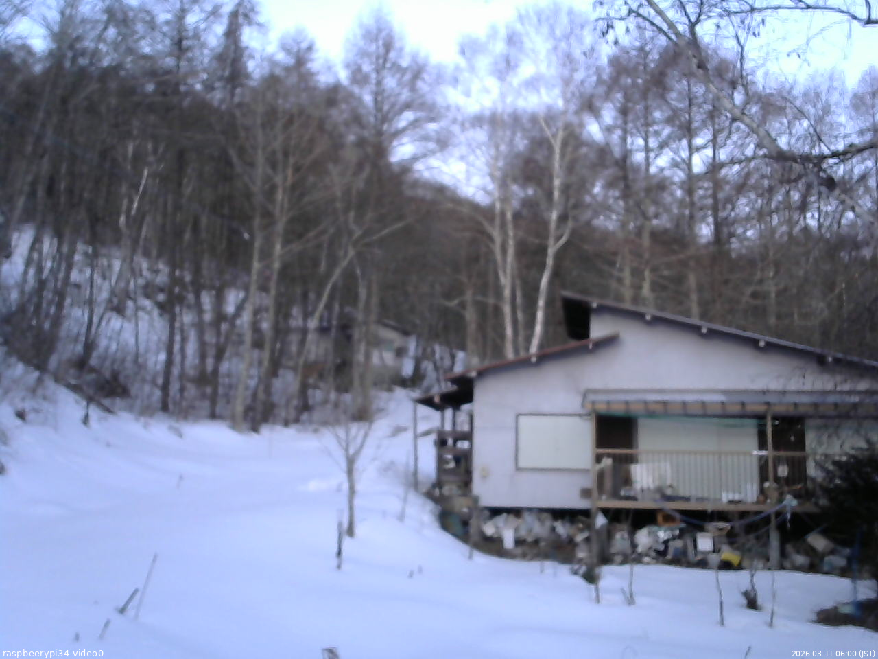 長野県菅平高原 ゆたか山荘 西側(坂上) 2026/03/11 06:00