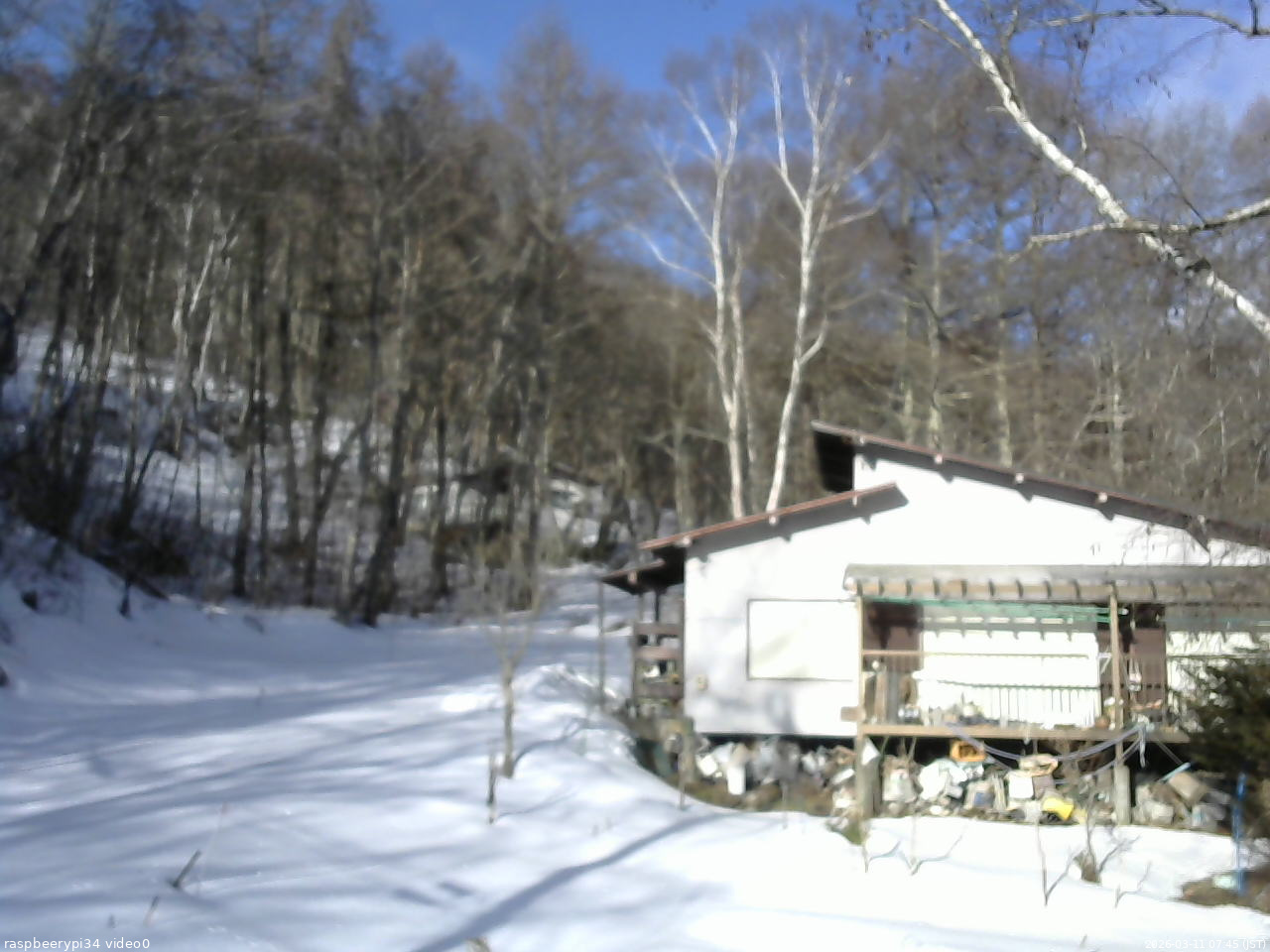長野県菅平高原 ゆたか山荘 西側(坂上) 2026/03/11 07:45