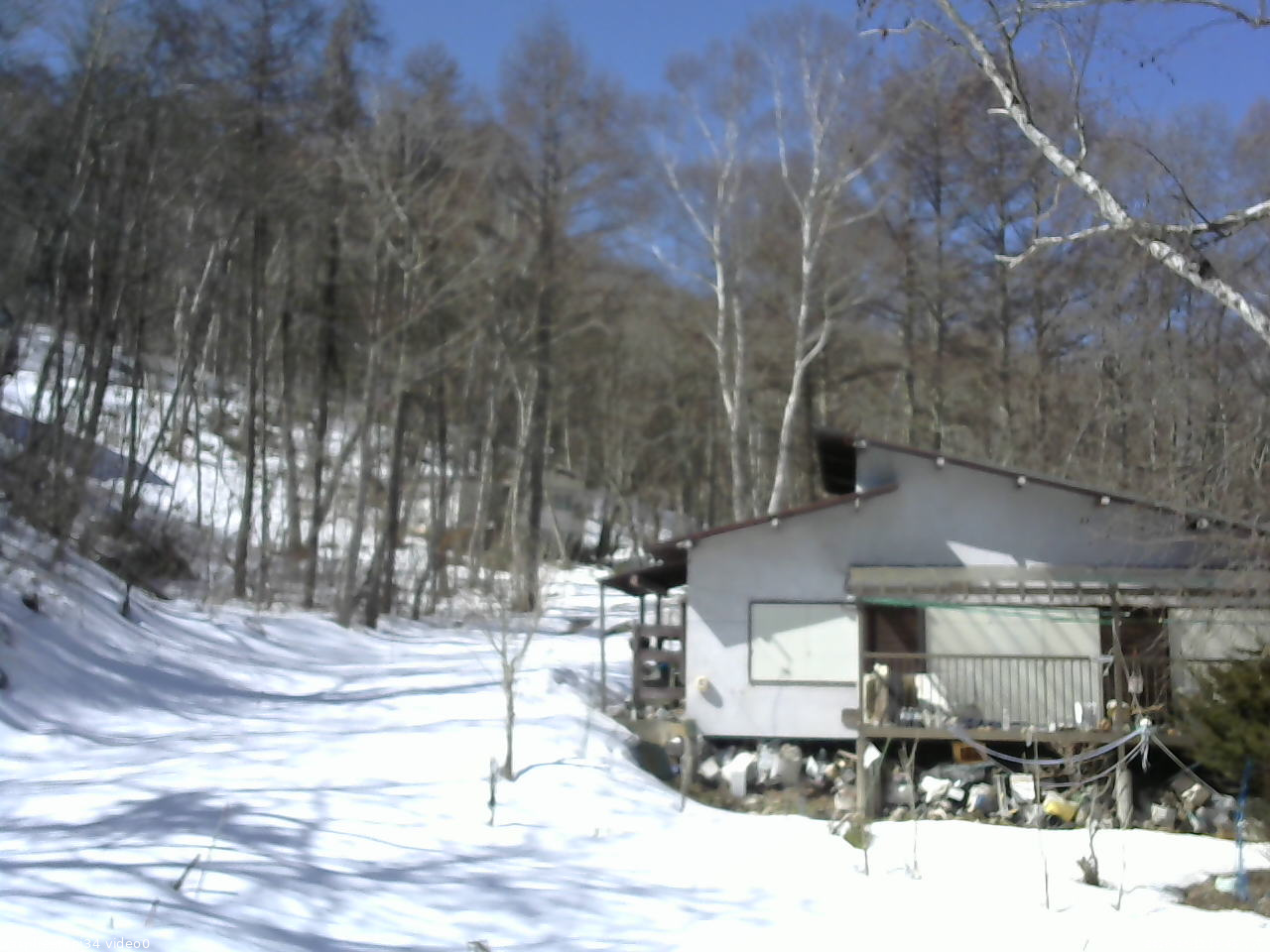 長野県菅平高原 ゆたか山荘 西側(坂上) 2026/03/11 10:45
