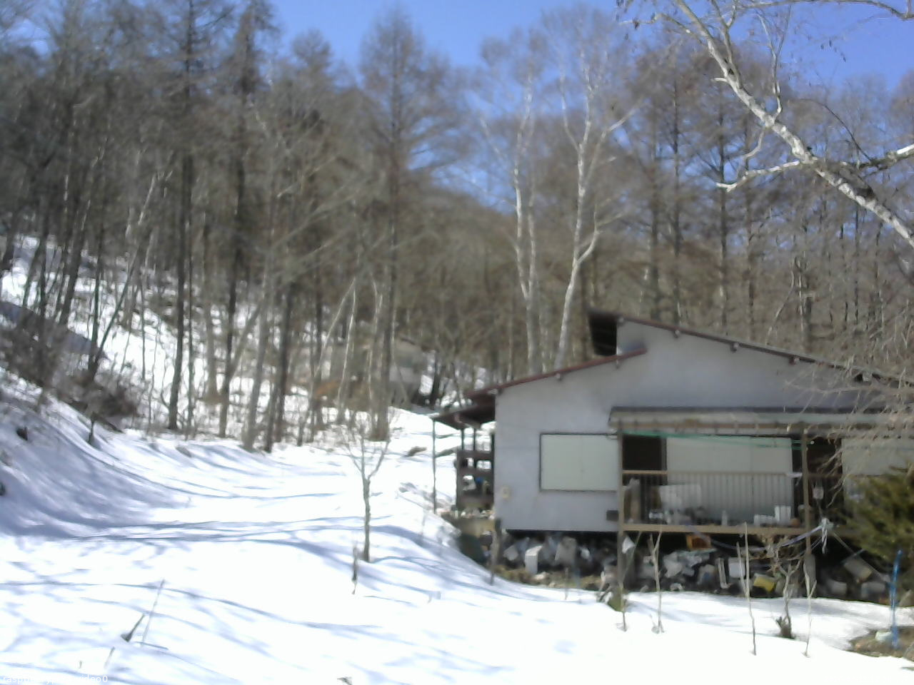 長野県菅平高原 ゆたか山荘 西側(坂上) 2026/03/11 12:00