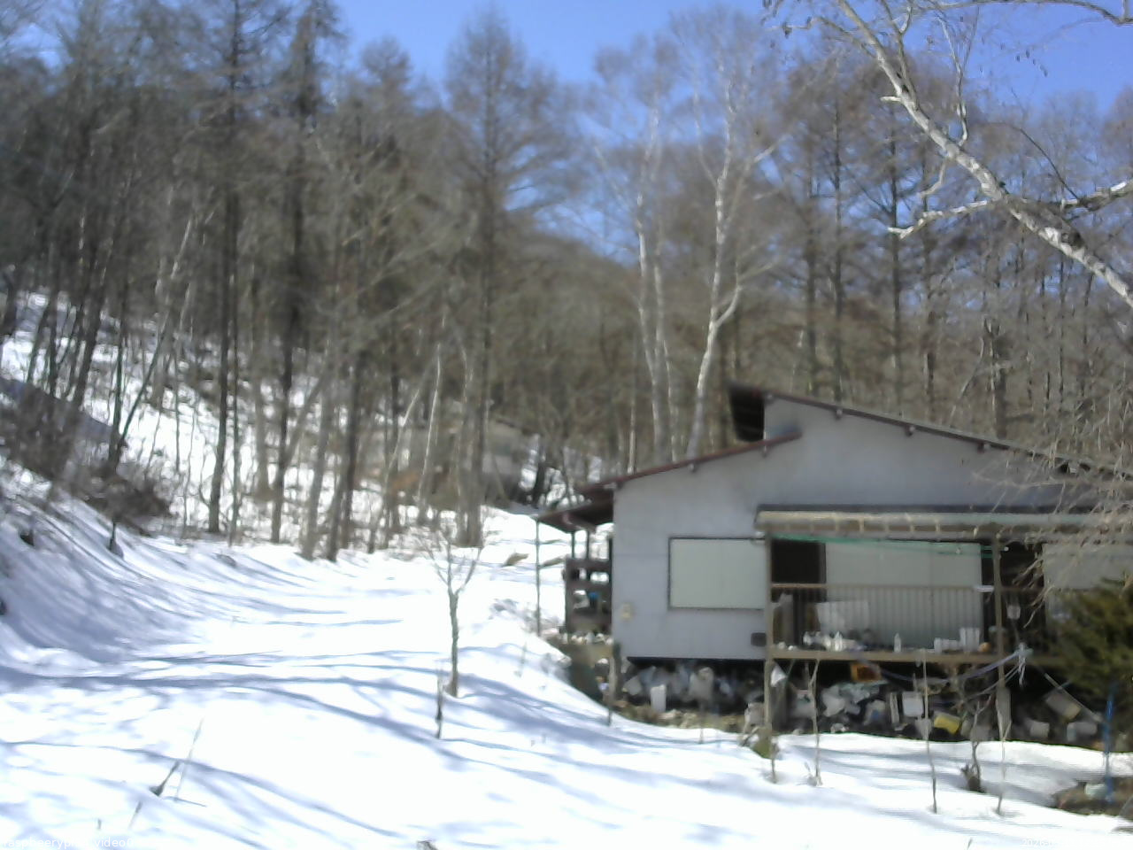 長野県菅平高原 ゆたか山荘 西側(坂上) 2026/03/11 12:15