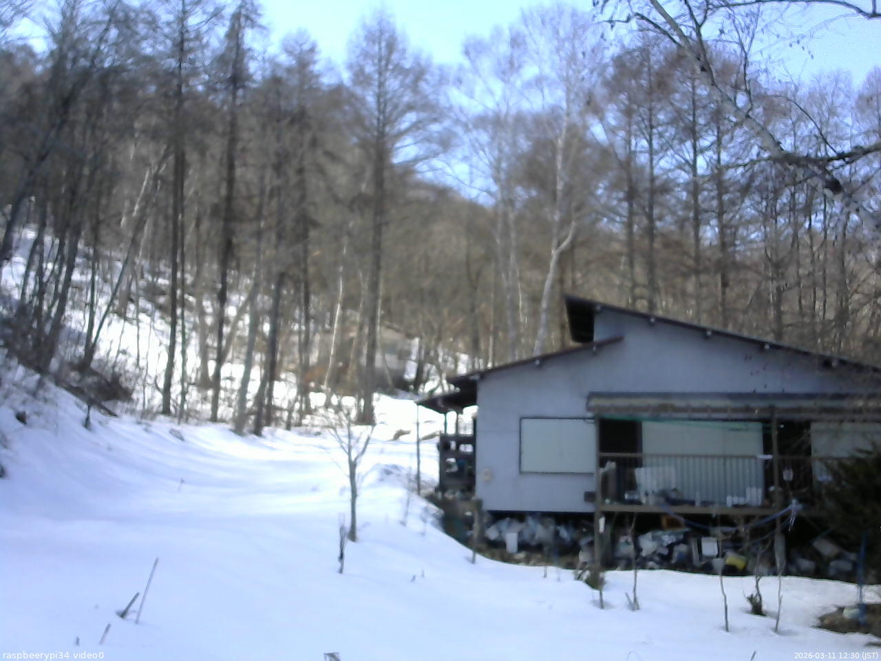 長野県菅平高原 ゆたか山荘 西側(坂上) 2026/03/11 12:30