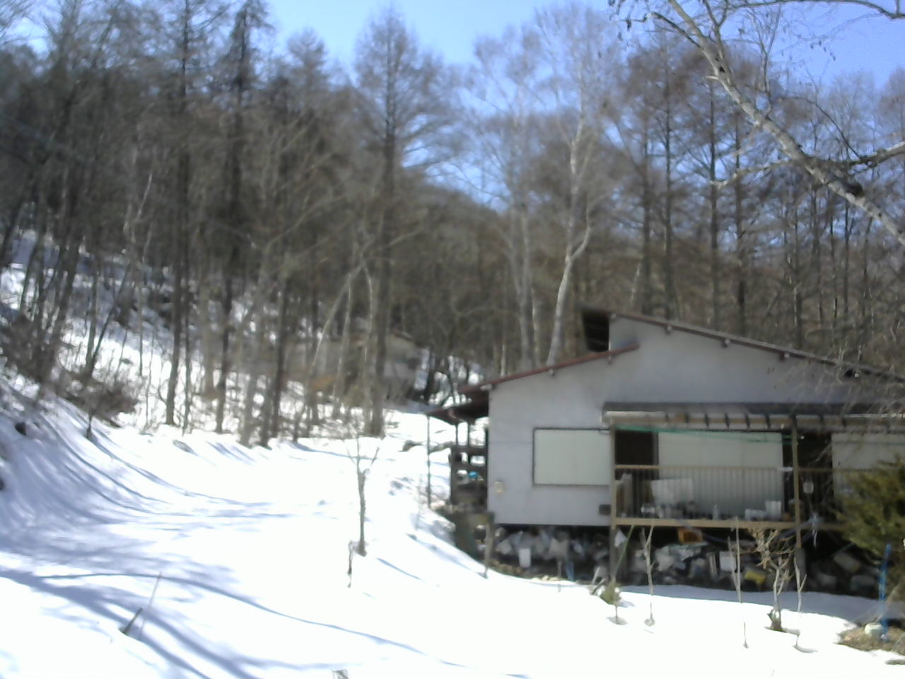 長野県菅平高原 ゆたか山荘 西側(坂上) 2026/03/11 13:30