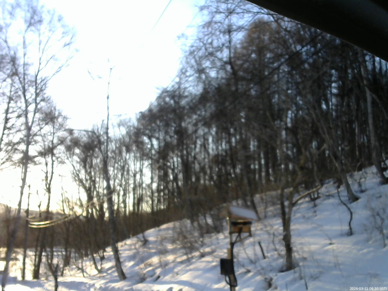 長野県菅平高原 ゆたか山荘 温度計 2026/03/11 06:30