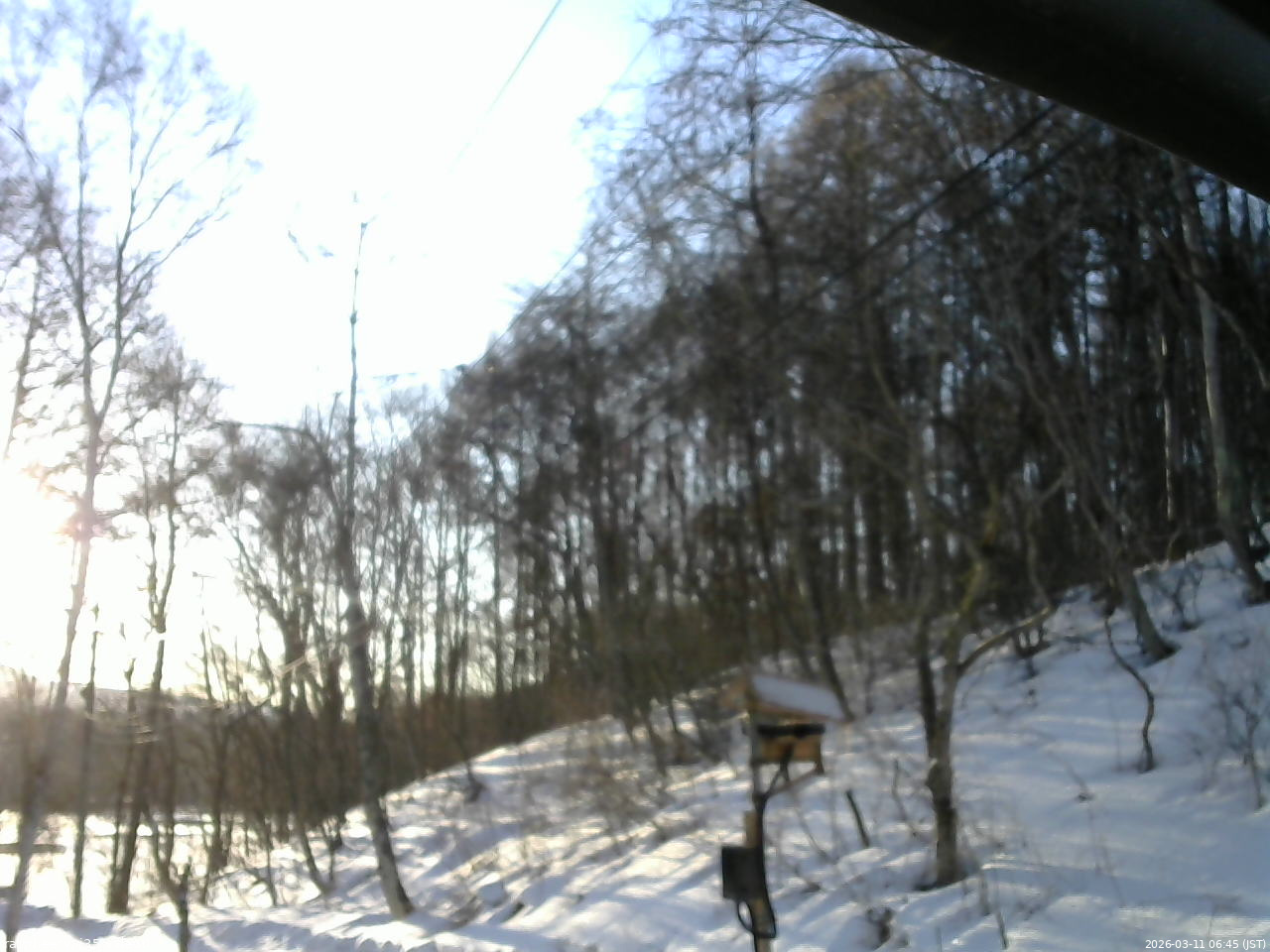 長野県菅平高原 ゆたか山荘 温度計 2026/03/11 06:45