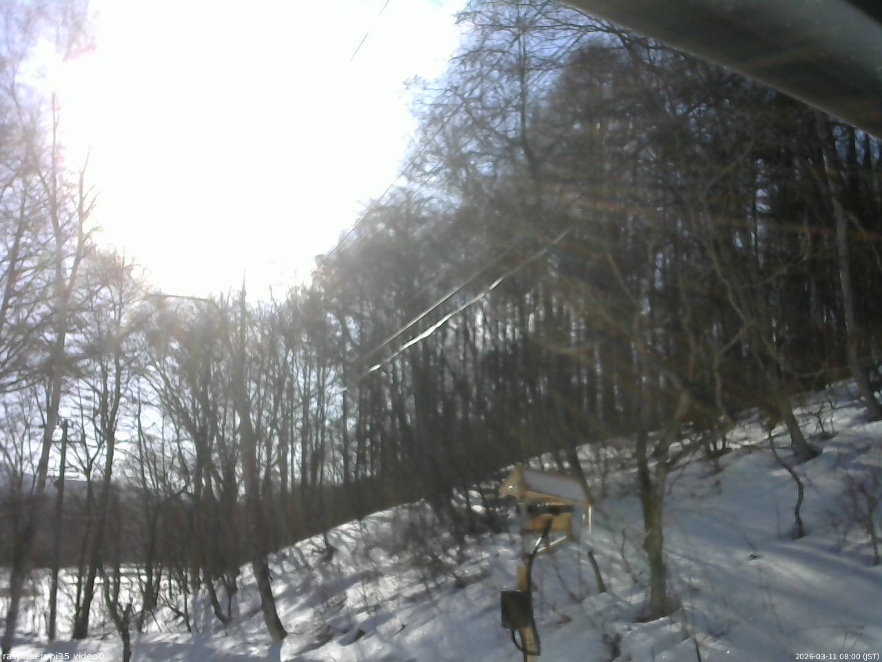 長野県菅平高原 ゆたか山荘 温度計 2026/03/11 08:00