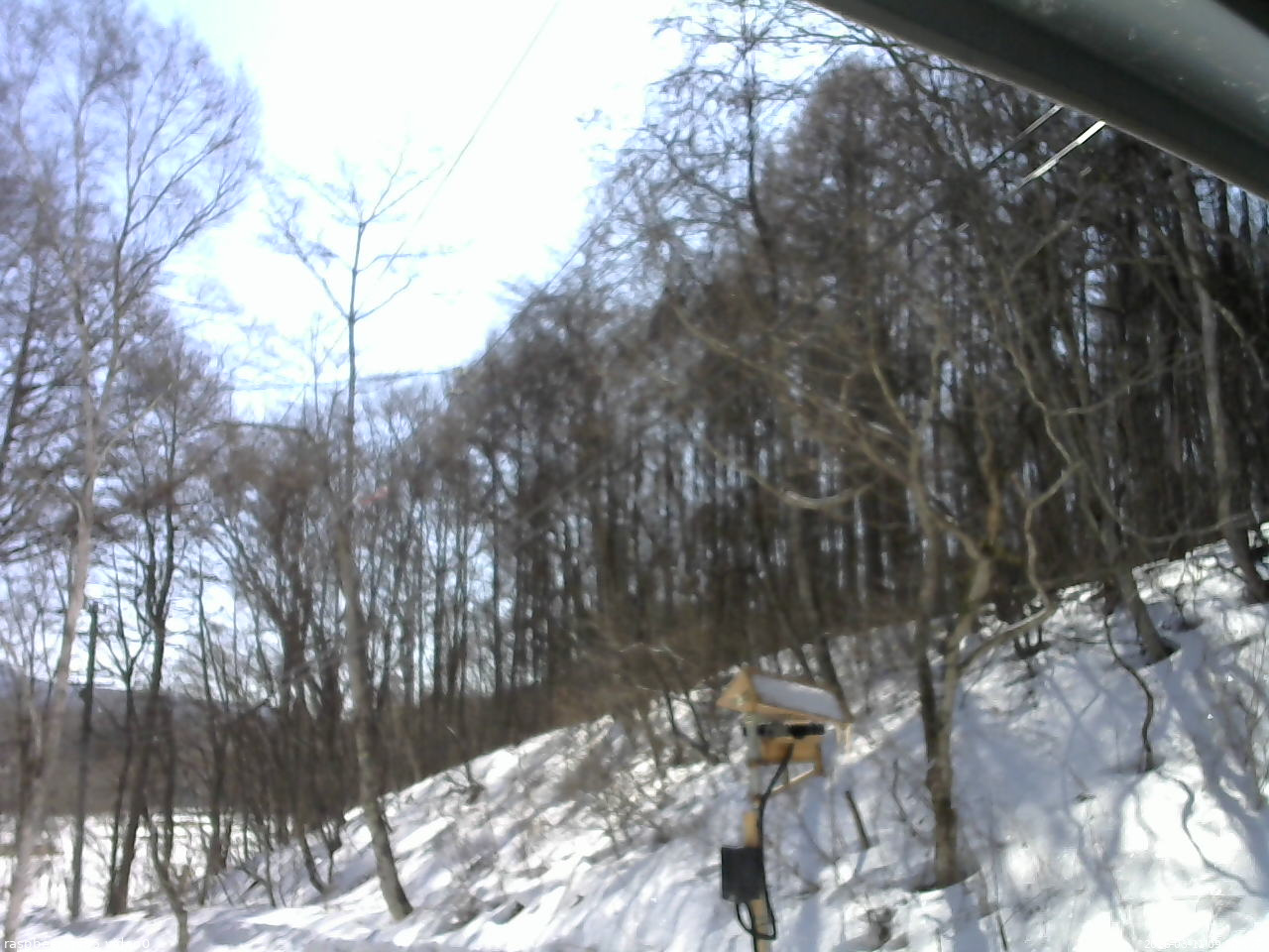 長野県菅平高原 ゆたか山荘 温度計 2026/03/11 09:30