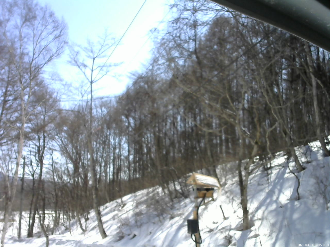 長野県菅平高原 ゆたか山荘 温度計 2026/03/11 10:15