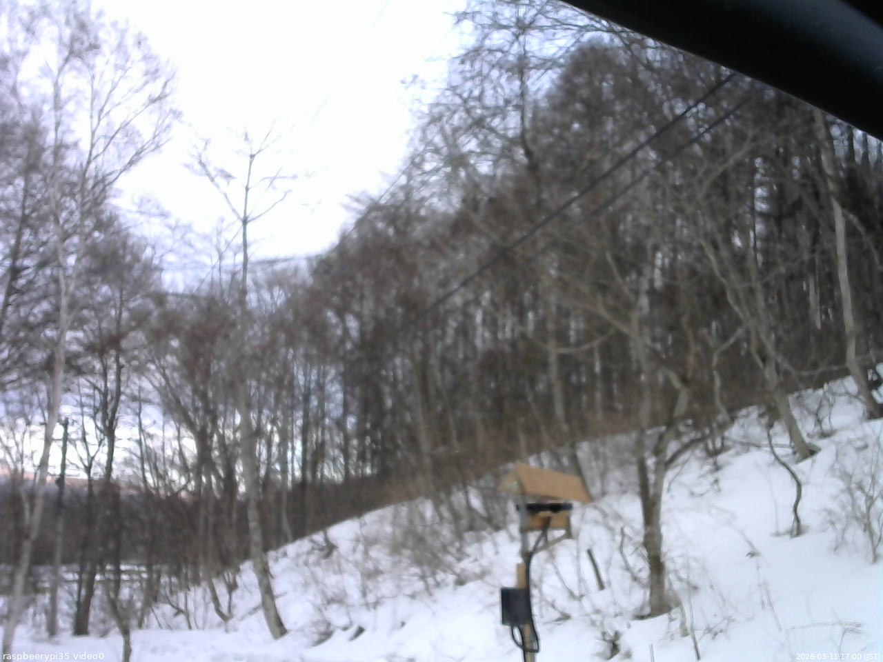 長野県菅平高原 ゆたか山荘 温度計 2026/03/11 17:00