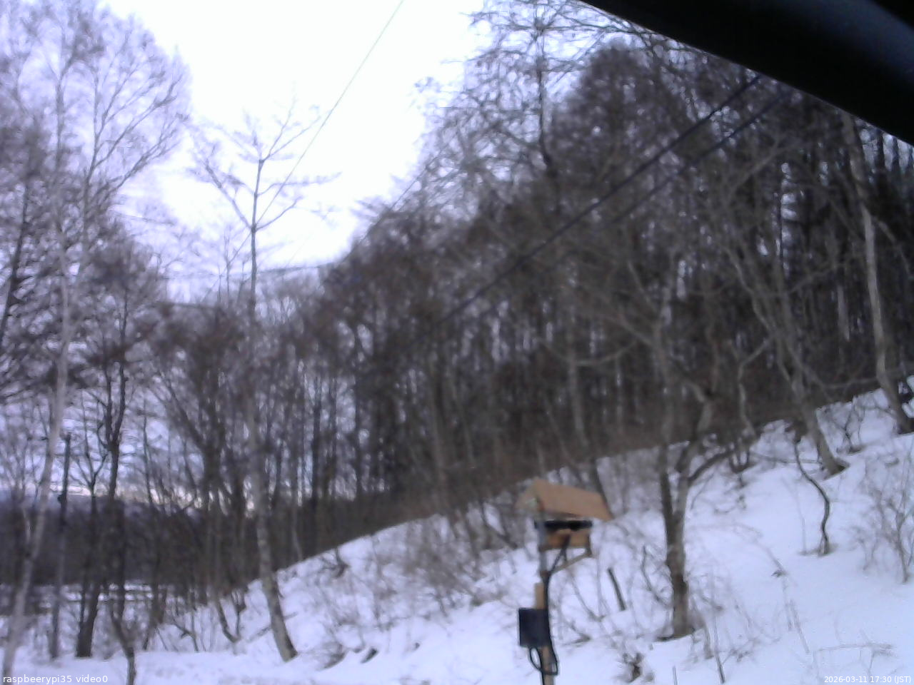 長野県菅平高原 ゆたか山荘 温度計 2026/03/11 17:30