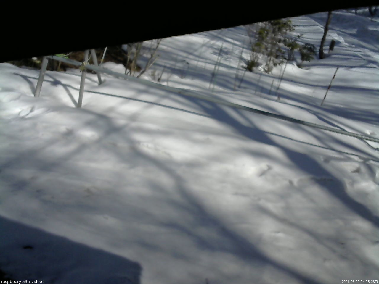 長野県菅平高原 ゆたか山荘 駐車場 2026/03/11 14:15