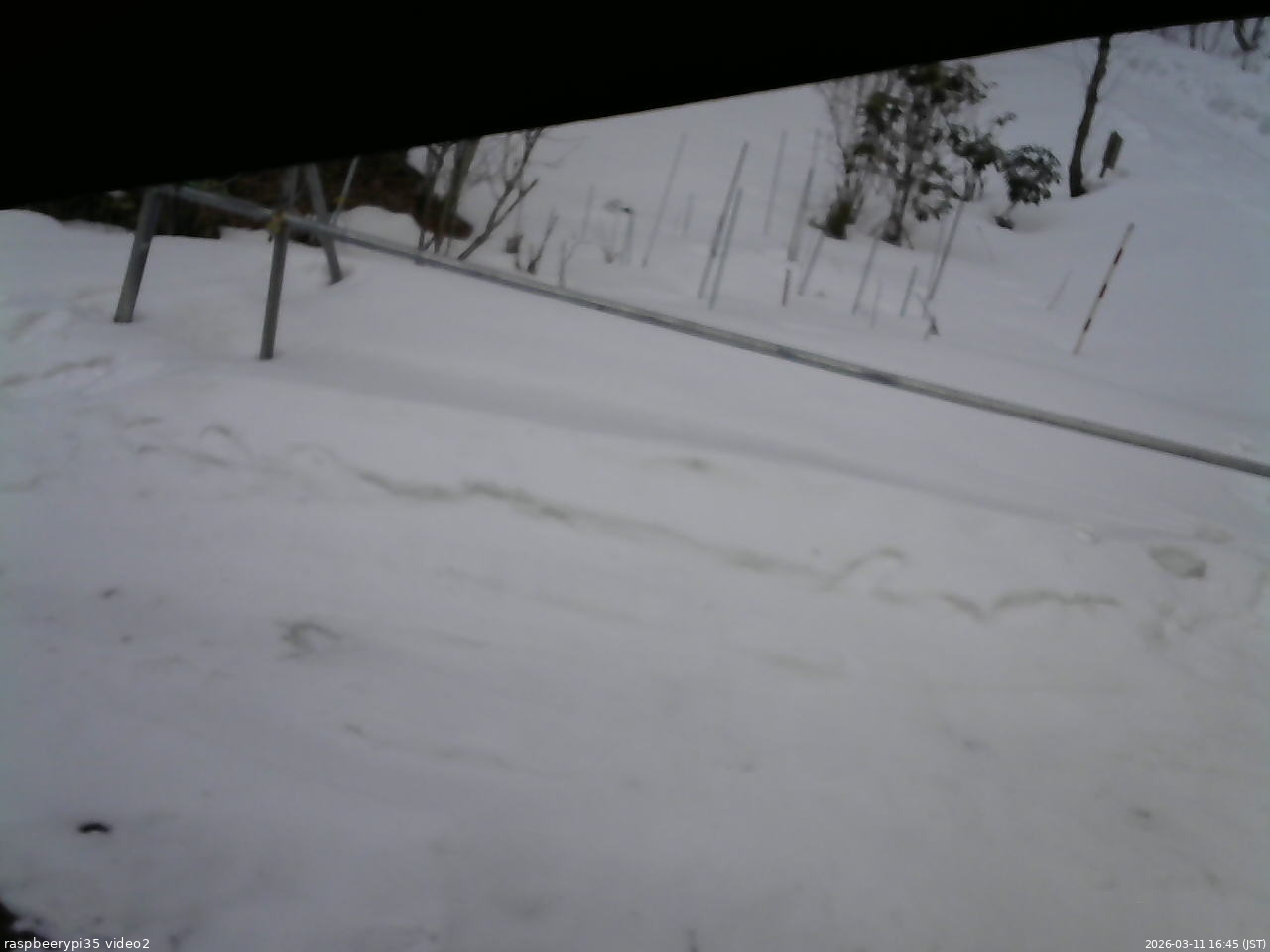長野県菅平高原 ゆたか山荘 駐車場 2026/03/11 16:45