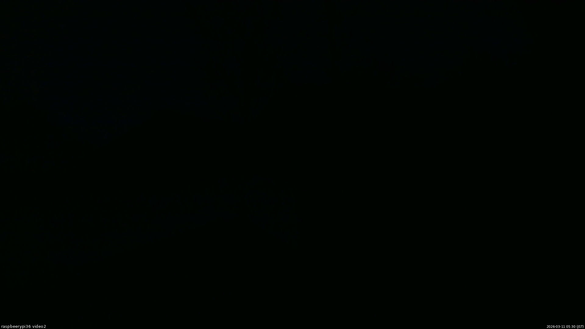 長野県菅平高原 ゆたか山荘 駐車場奥 2026/03/11 05:30