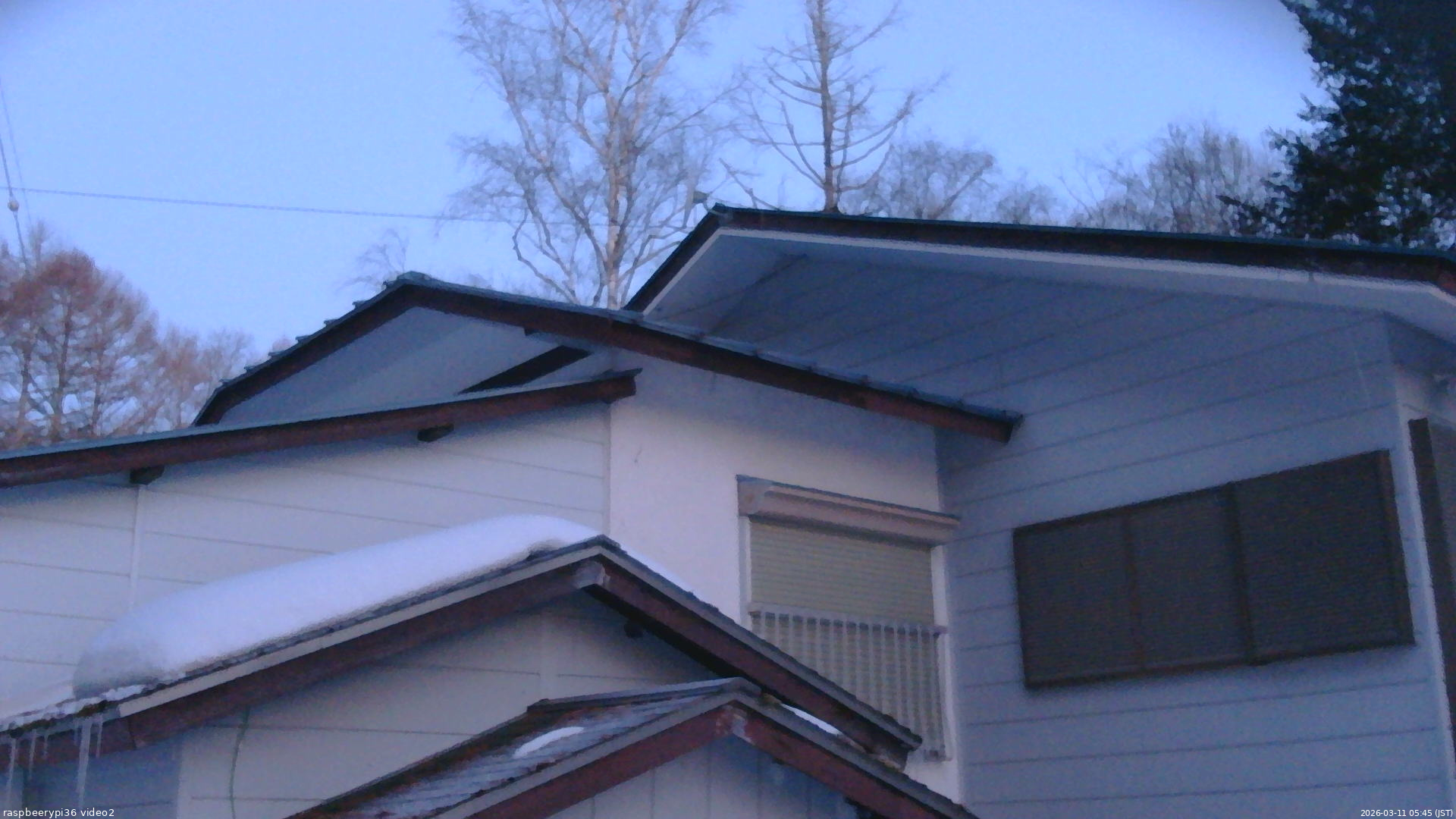 長野県菅平高原 ゆたか山荘 駐車場奥 2026/03/11 05:45