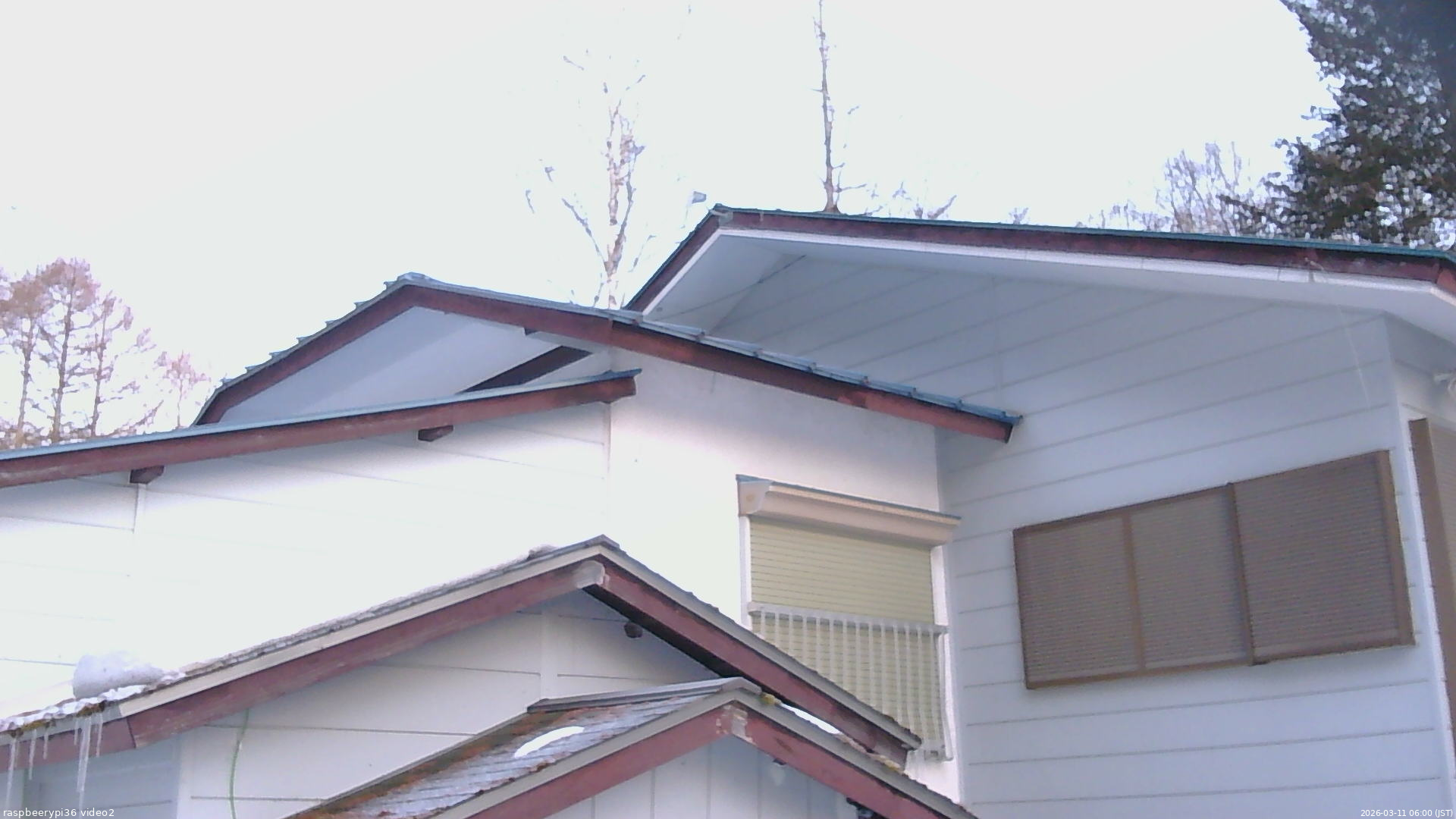 長野県菅平高原 ゆたか山荘 駐車場奥 2026/03/11 06:00