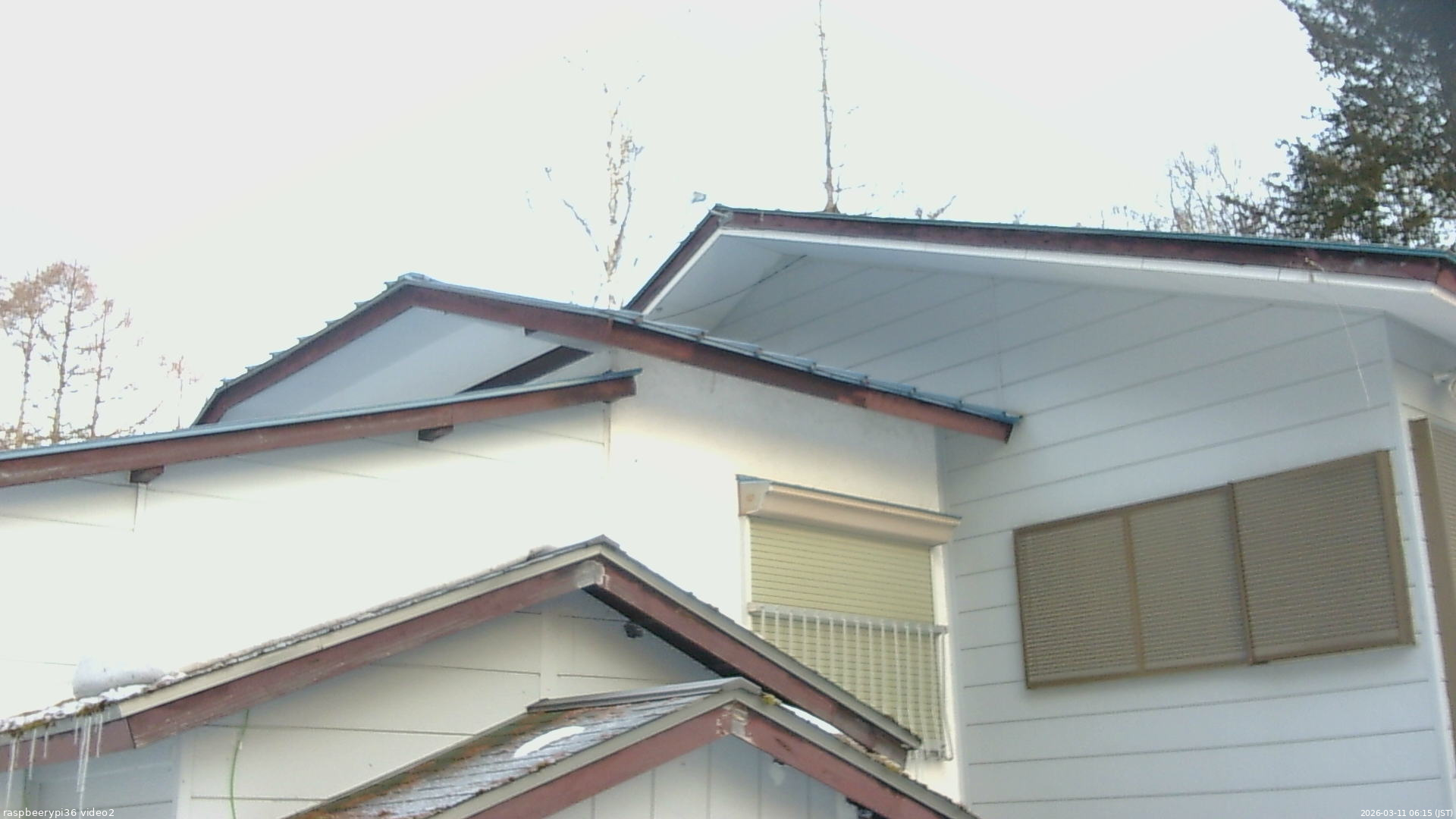長野県菅平高原 ゆたか山荘 駐車場奥 2026/03/11 06:15