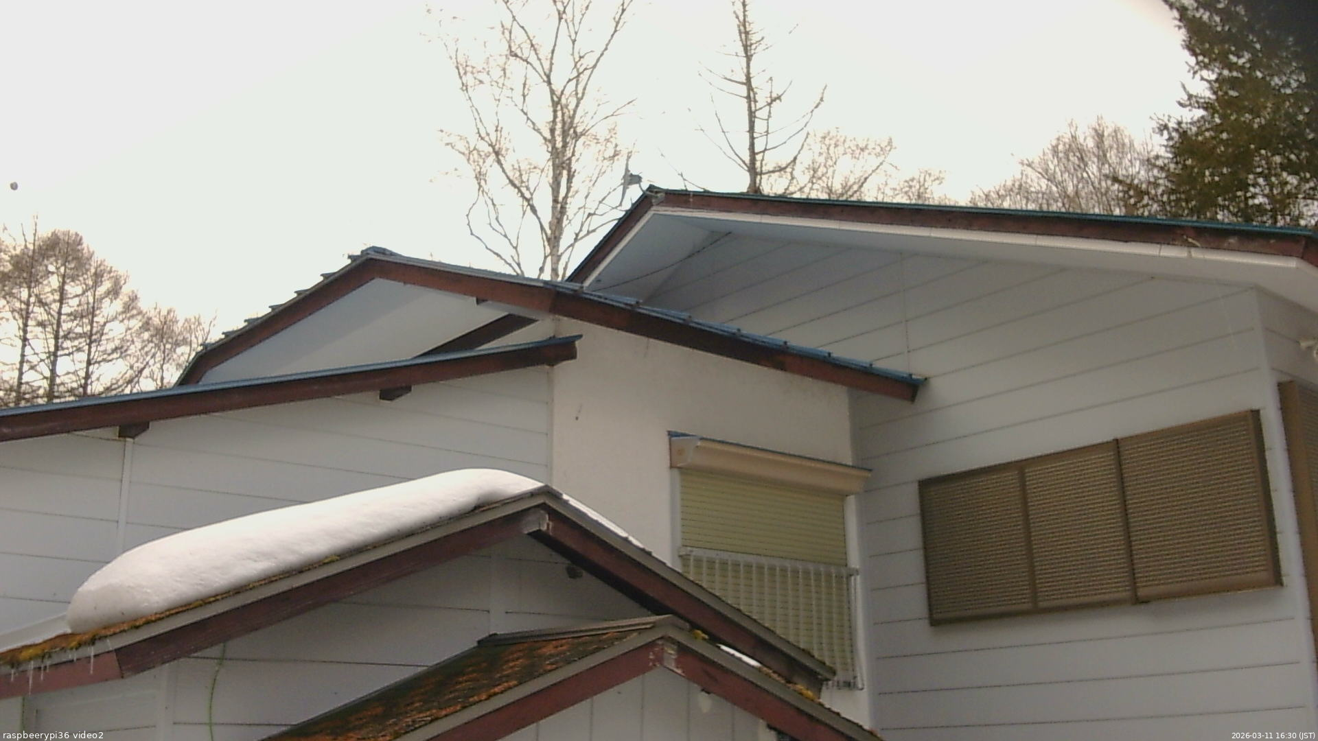 長野県菅平高原 ゆたか山荘 駐車場奥 2026/03/11 16:30