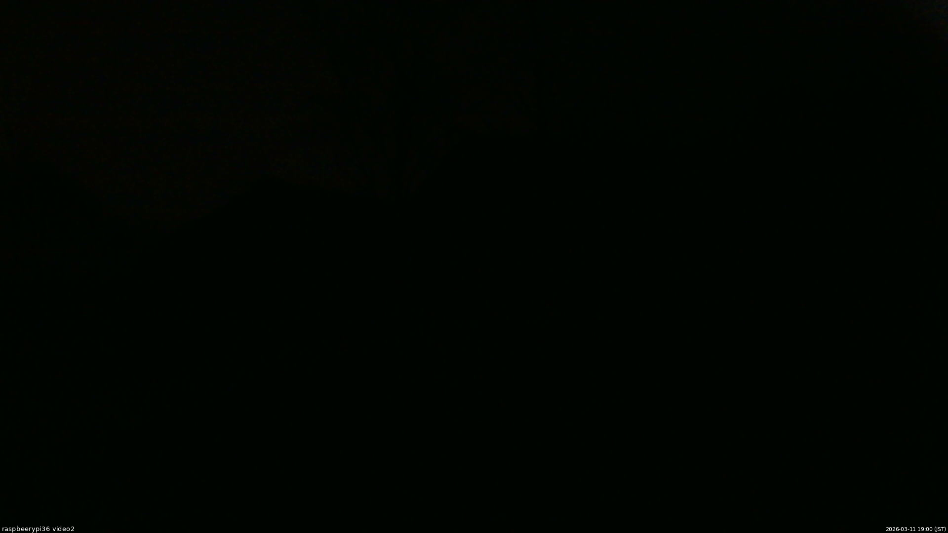 長野県菅平高原 ゆたか山荘 駐車場奥 2026/03/11 19:00