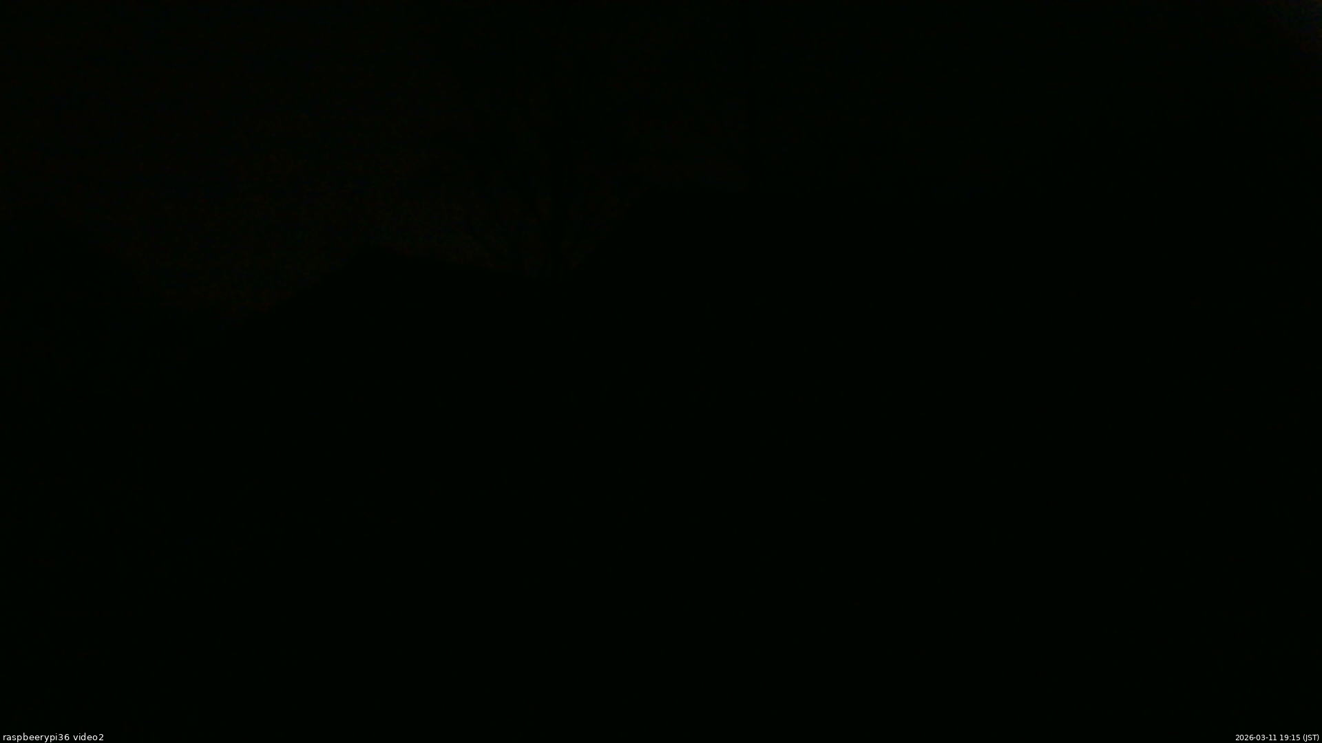 長野県菅平高原 ゆたか山荘 駐車場奥 2026/03/11 19:15