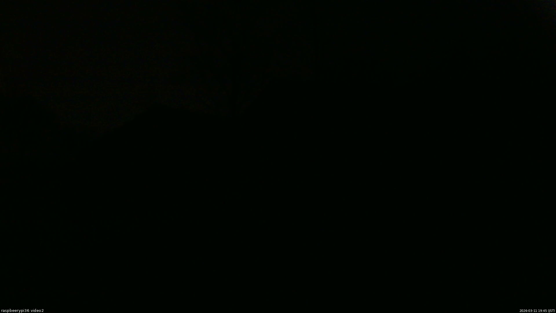 長野県菅平高原 ゆたか山荘 駐車場奥 2026/03/11 19:45
