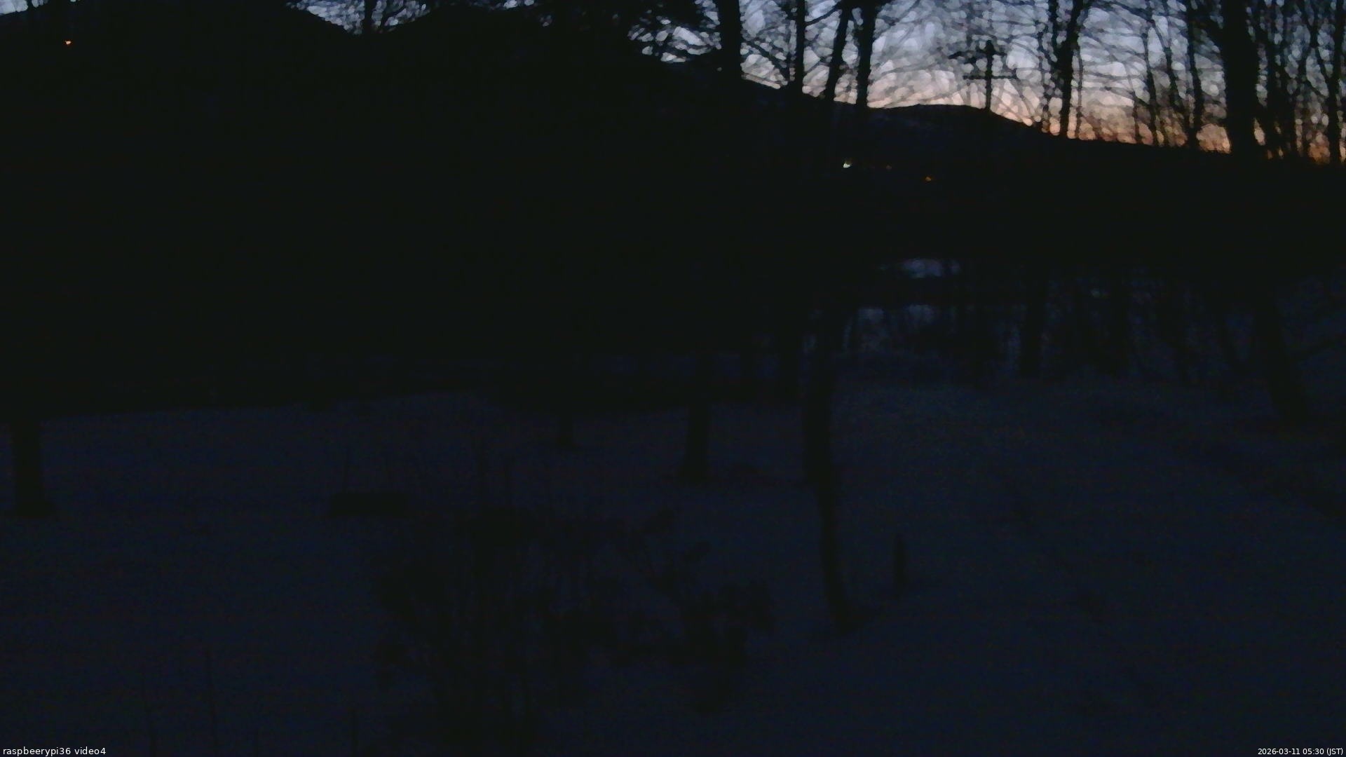 長野県菅平高原 ゆたか山荘 坂上 2026/03/11 05:30