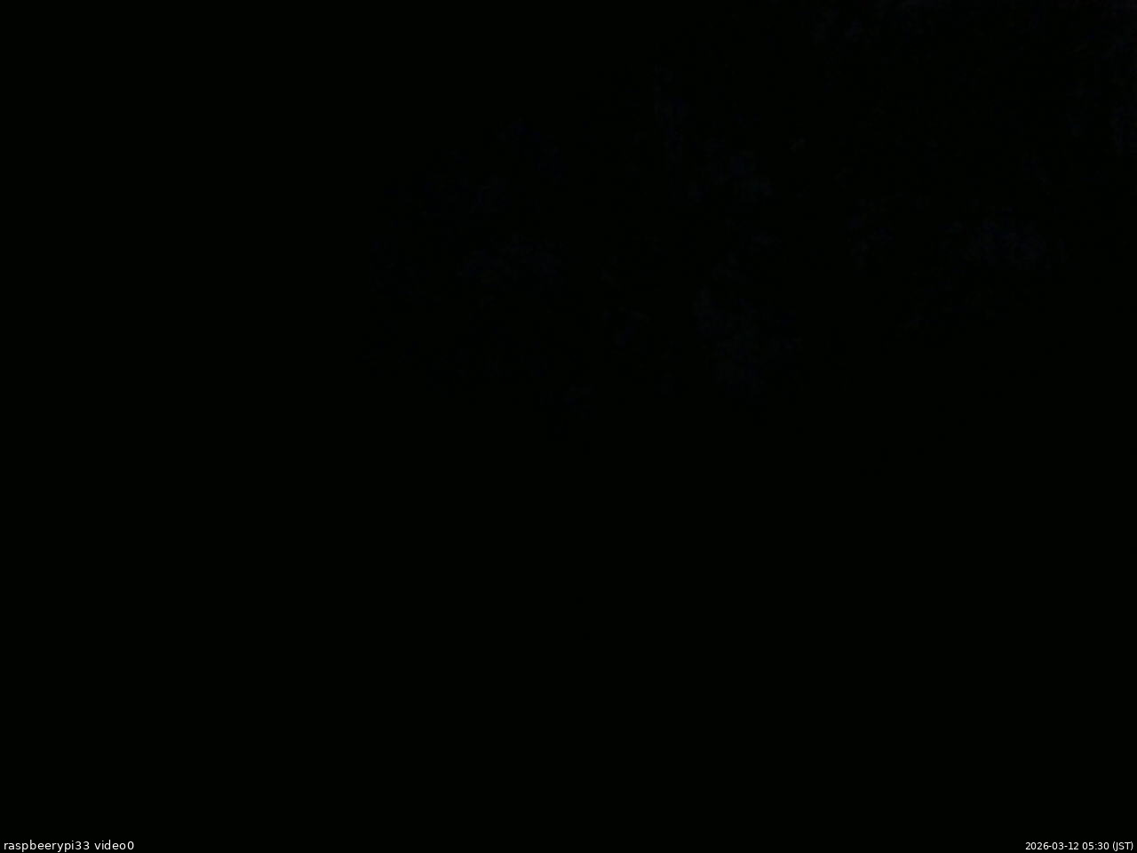 長野県菅平高原 ゆたか山荘 北側 2026/03/12 05:30