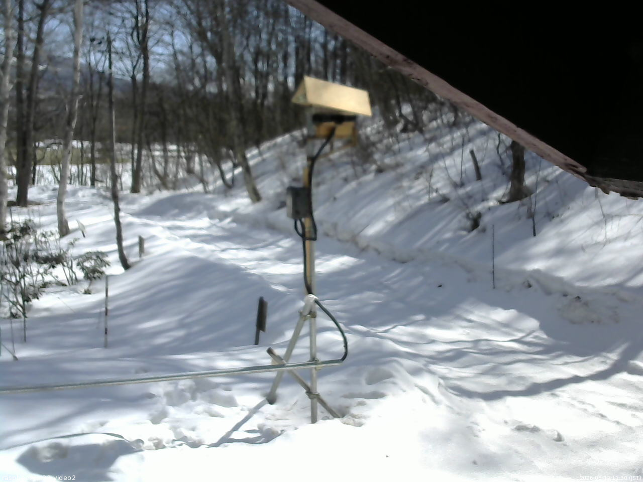 長野県菅平高原 ゆたか山荘 南側 2026/03/12 11:30