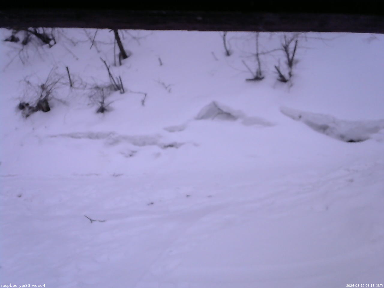 長野県菅平高原 ゆたか山荘 東側(坂下) 2026/03/12 06:15